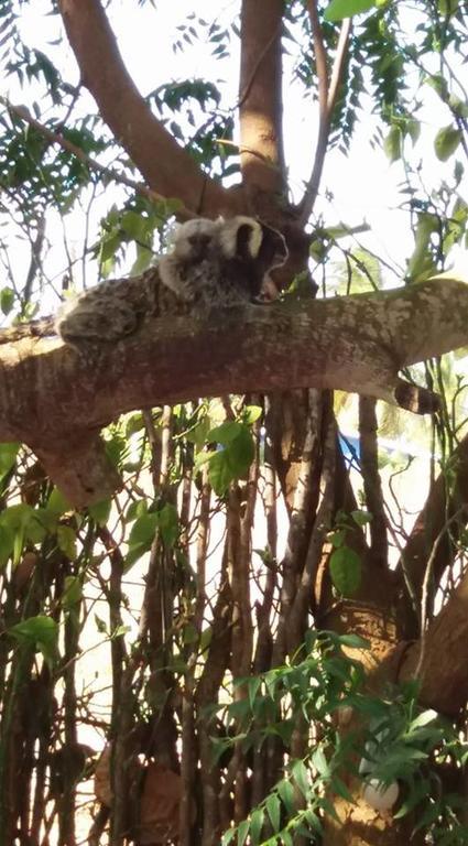 Recanto do Rei Chalés São Miguel do Gostoso Exterior foto